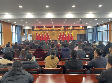 鼎城区委巡察组完成十三届区委第七轮巡察暨医疗卫生领域专项巡察、食品安全领域机动巡察反馈